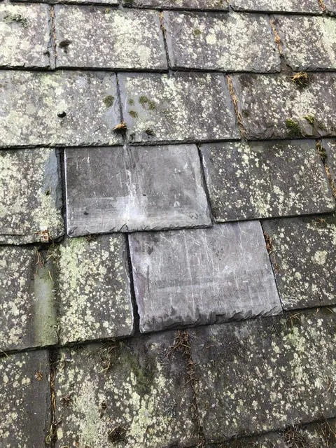 Moss growth on the roof being cleared and broken slates replaced — photo 6